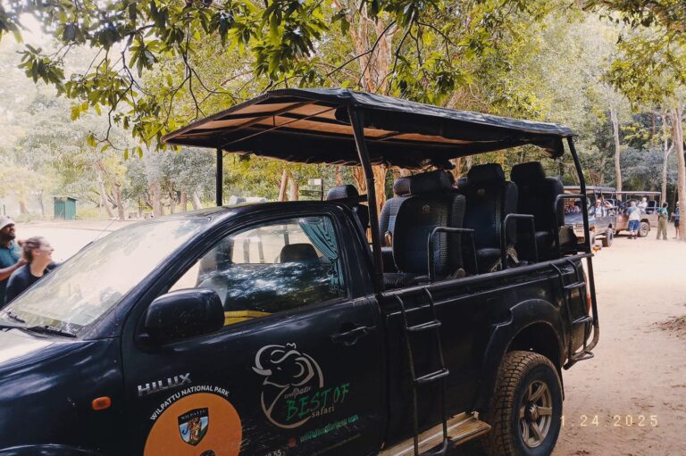 Jeepsafari in Wilpattu National Park – Een ontmoeting met luipaarden.